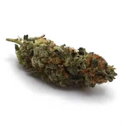 Black Lemon Breath (AAA)