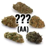 1 Pack Mystery Strain (AA)